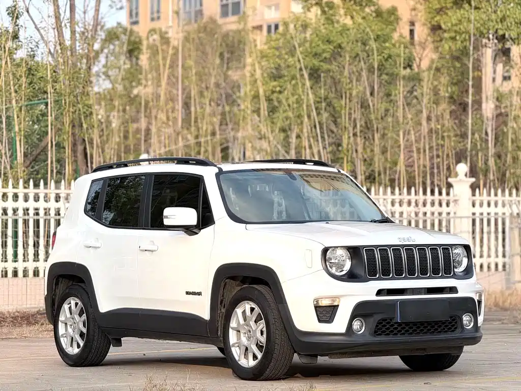 Renegade 220 T Auto Leading