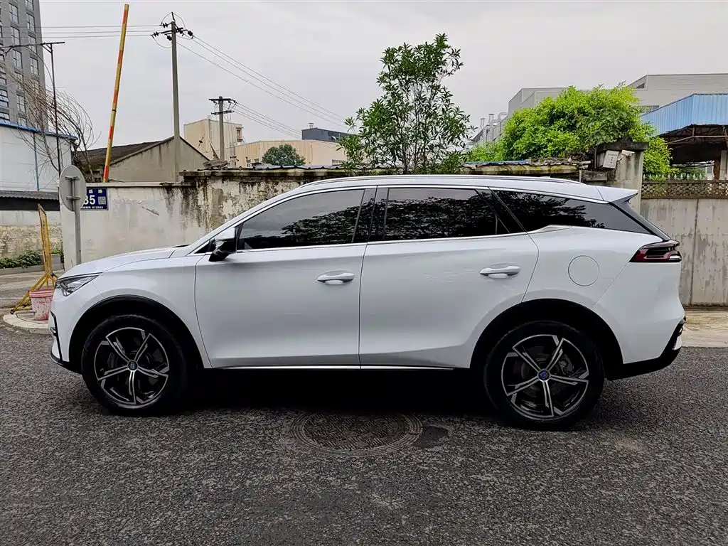 Tang NEV DM 2.0 T 4 WD High Performance Honored