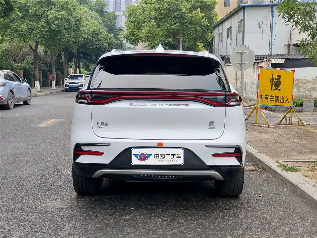 Tang NEV DM 2.0 T 4 WD High Performance Honored