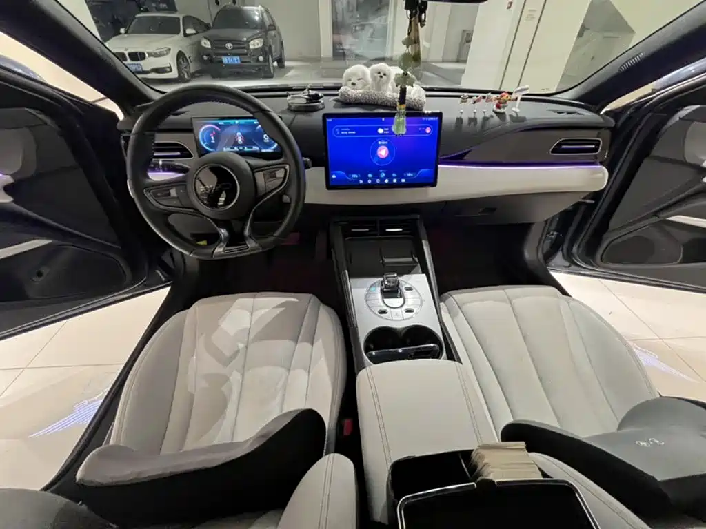 Seal 06 DM-i 80 KM Distinguished