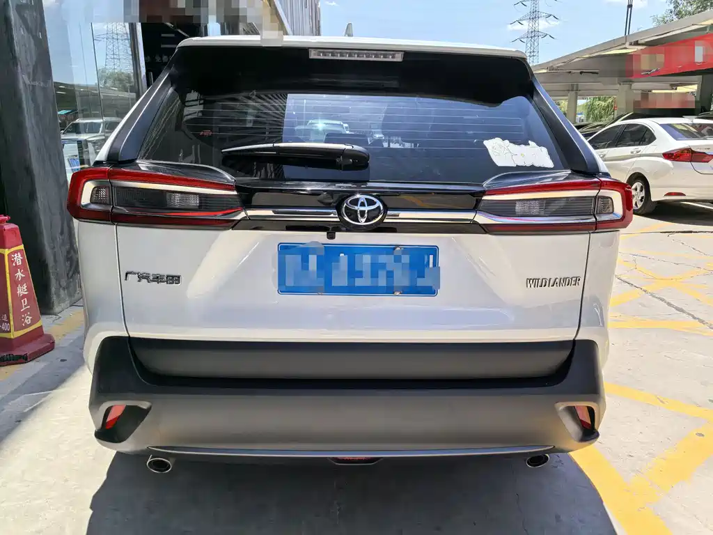 Wildlander 2.0 L CVT 2 WD Leading