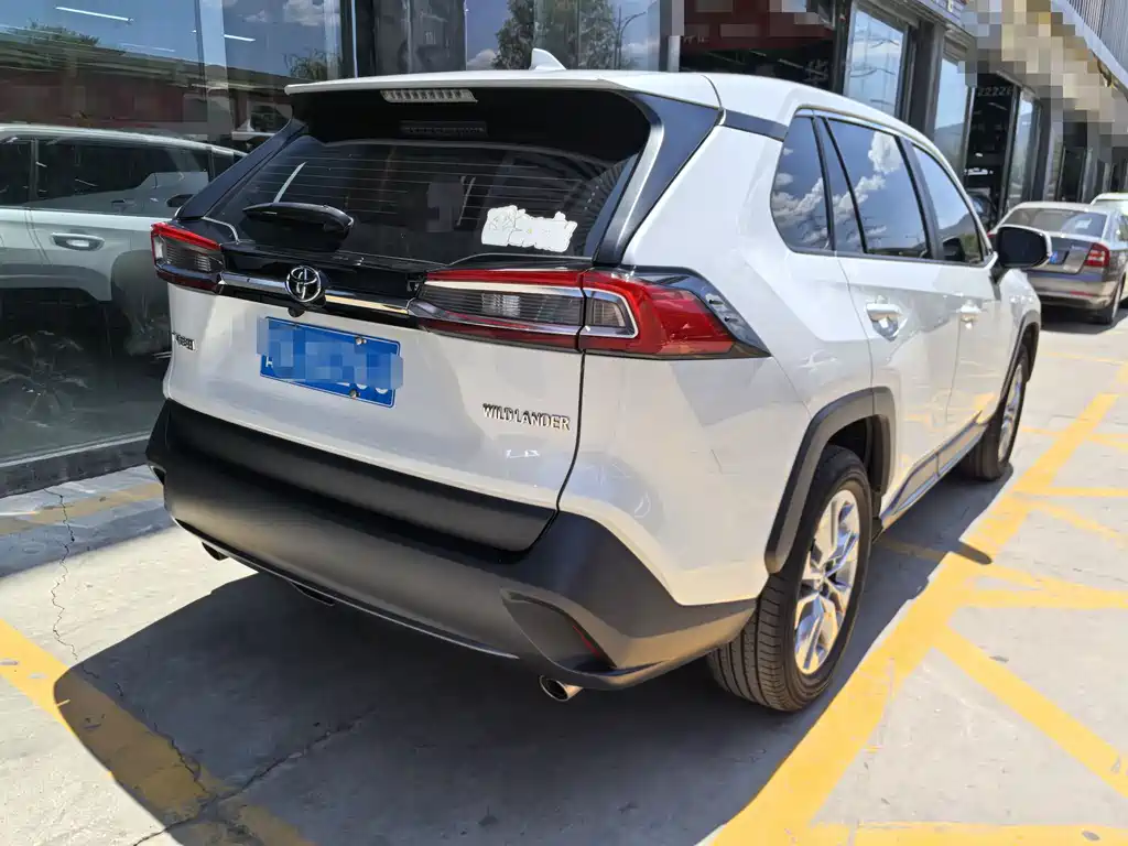 Wildlander 2.0 L CVT 2 WD Leading