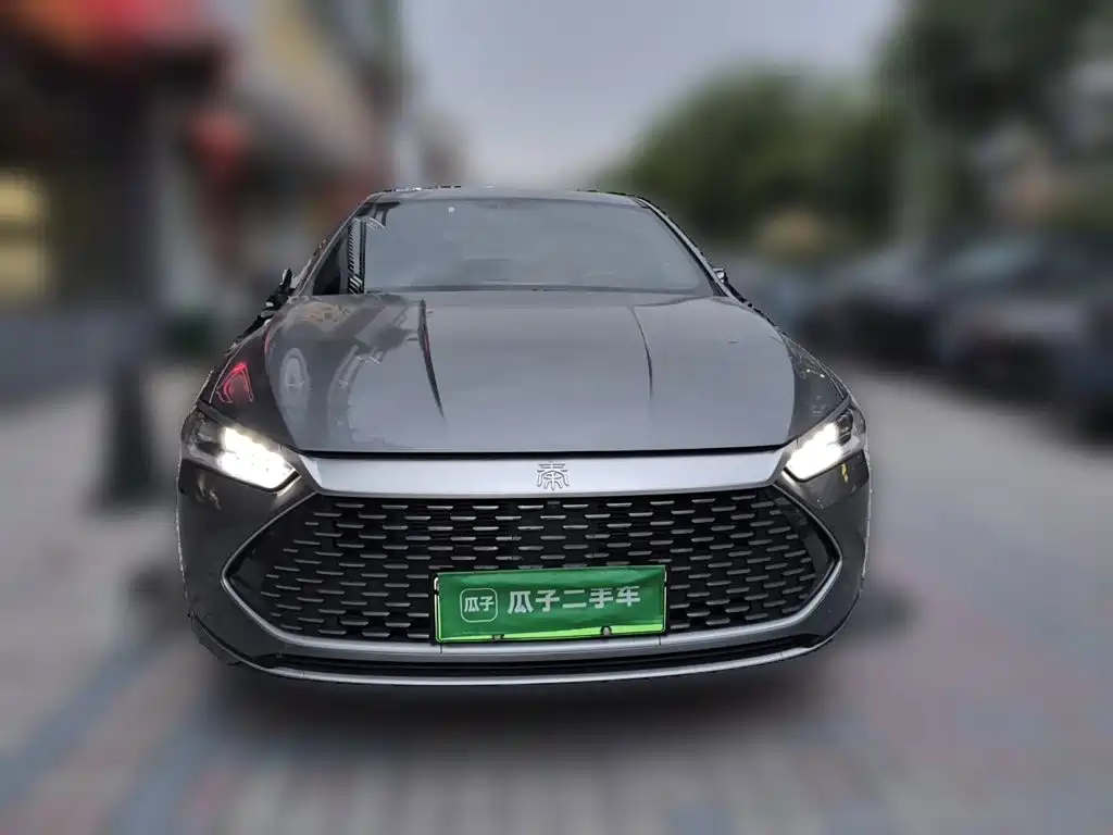 Qin PLUS Champion DM-i 55 KM Transcend