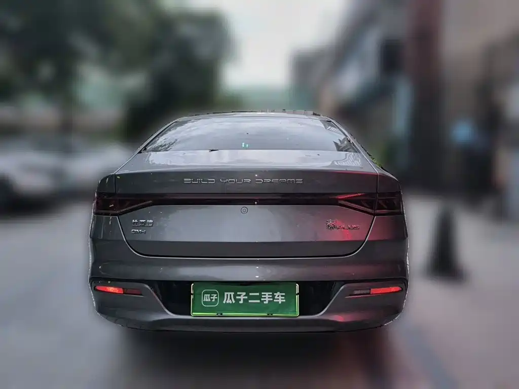 Qin PLUS Champion DM-i 55 KM Transcend