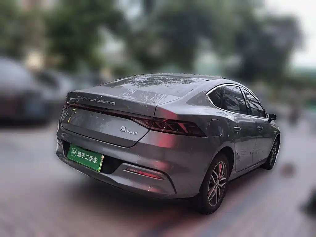 Qin PLUS Champion DM-i 55 KM Transcend
