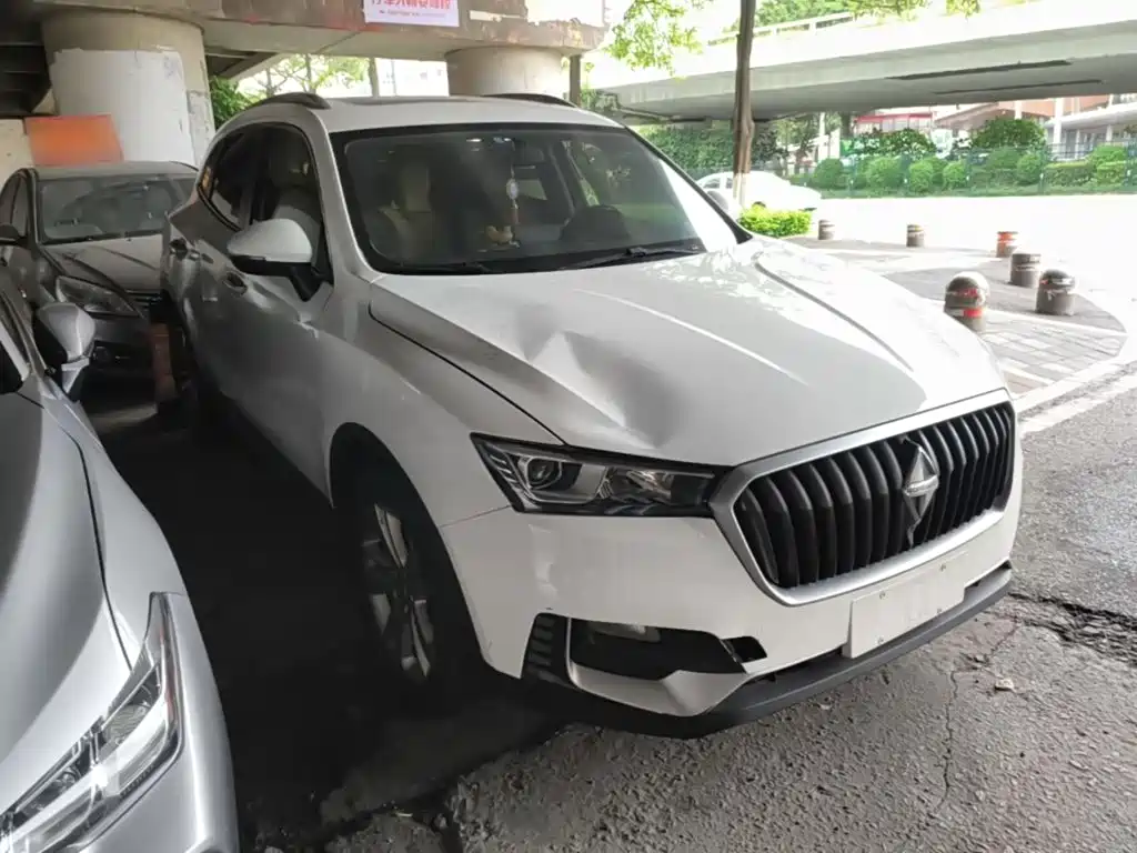 Borgward BX5 20 TGDI Auto 2 WD Pioneer