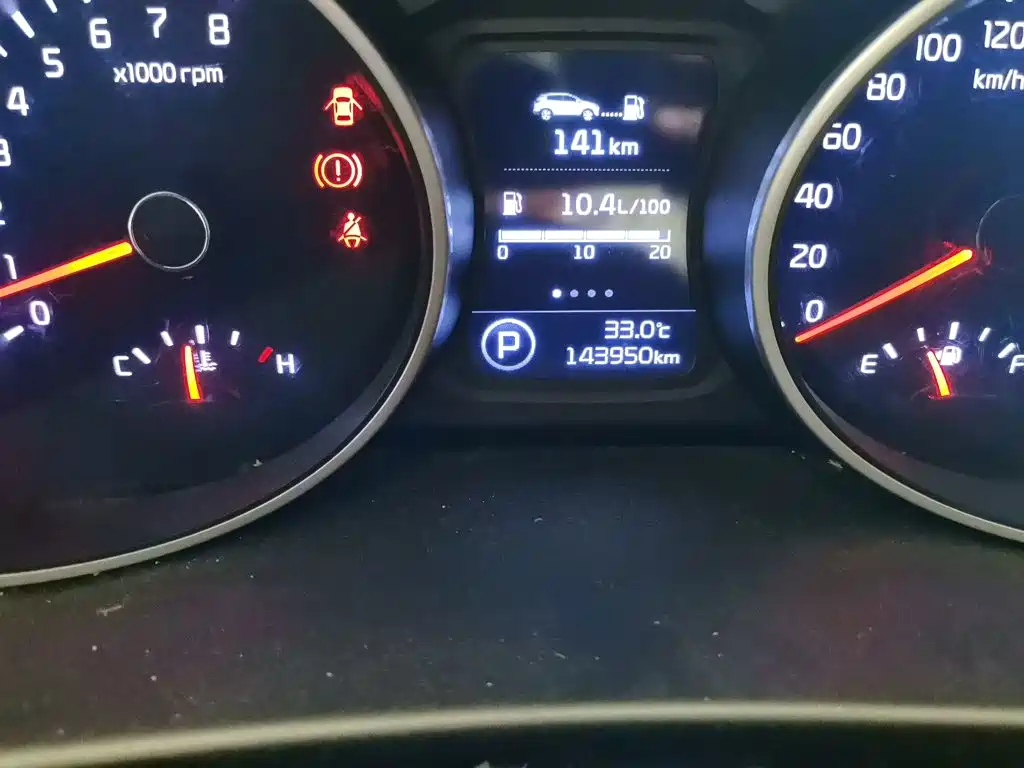Sportage 2.0 L Auto 2 WD DLX