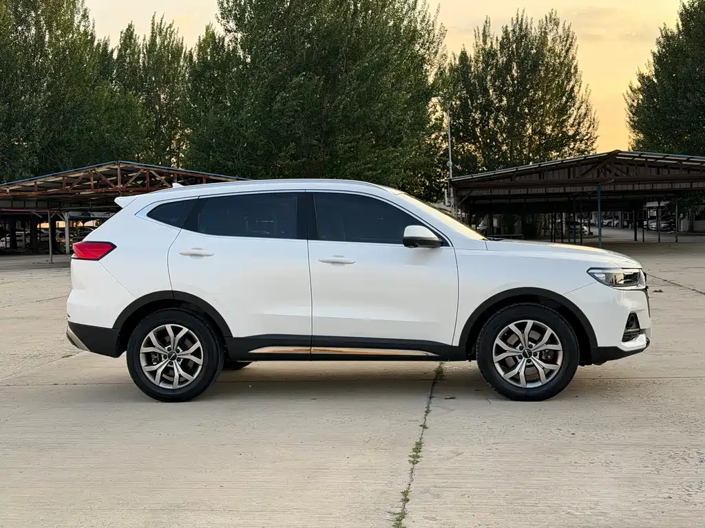 Haval H6 China Style 1.5 T Auto Champion