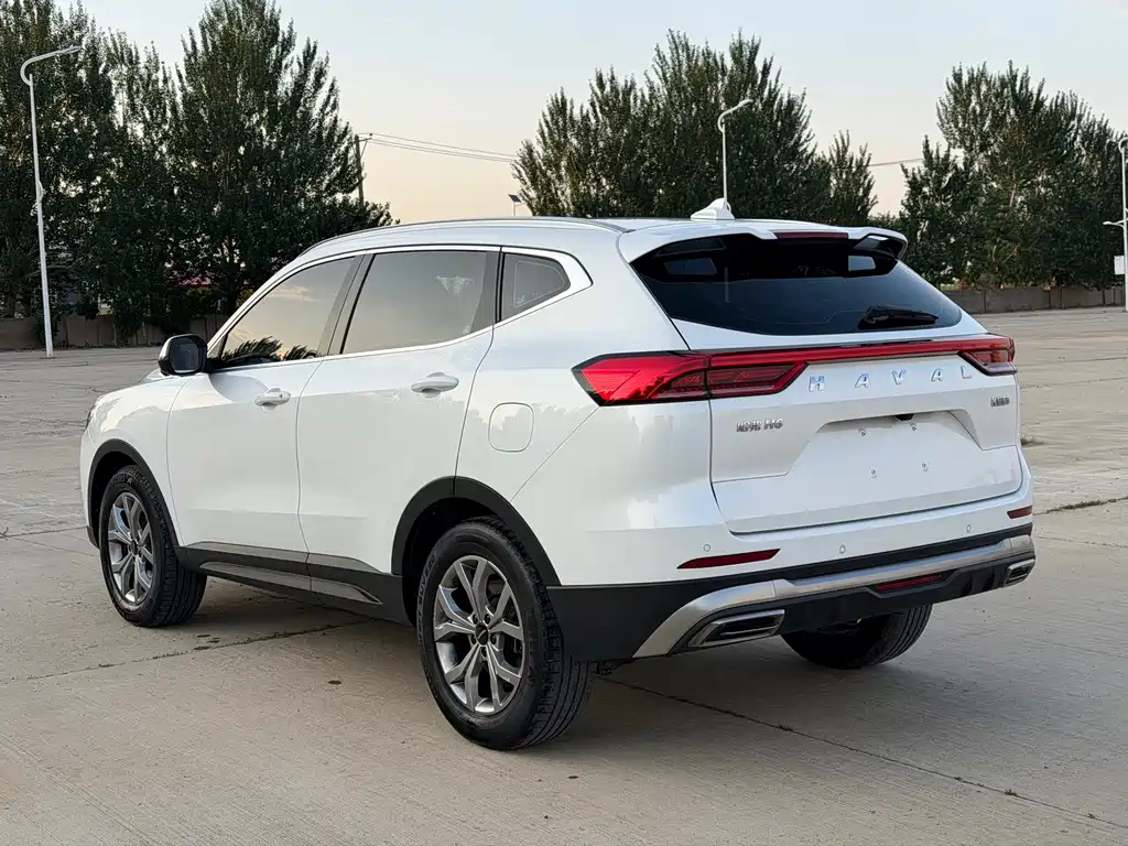 Haval H6 China Style 1.5 T Auto Champion