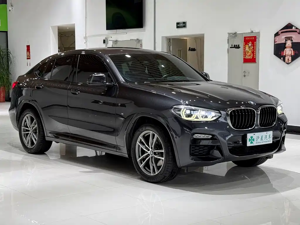 BMW X4 xDrive25 i M Sport Package