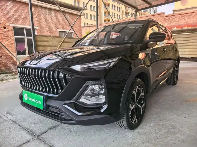 JAC Sehol X8 思皓X8 2021款 改款 300 T 手动豪华智联版 5座