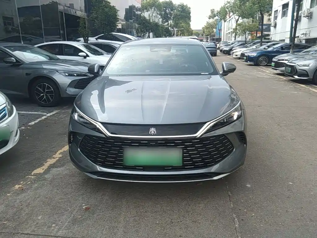 Qin L DM-i Smart Drive 120 KM Transcend