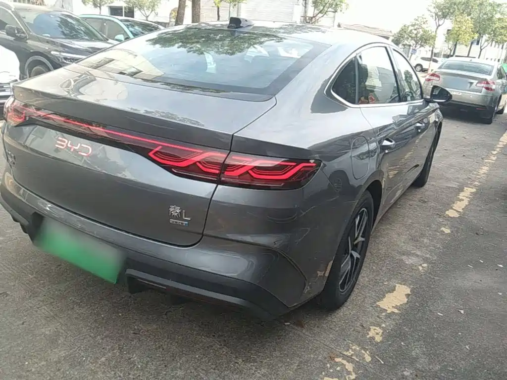 Qin L DM-i Smart Drive 120 KM Transcend