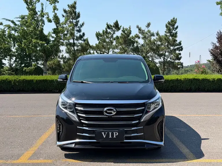 GAC Trumpchi M8 Leading Show Series 390 T Premium