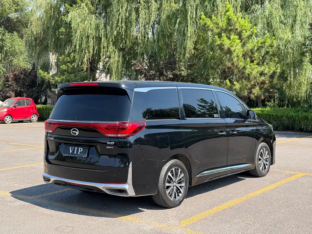 GAC Trumpchi M8 Leading Show Series 390 T Premium