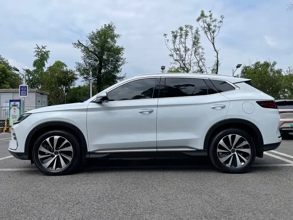 Song PLUS NEV Champion DM-i 110 KM Flagship