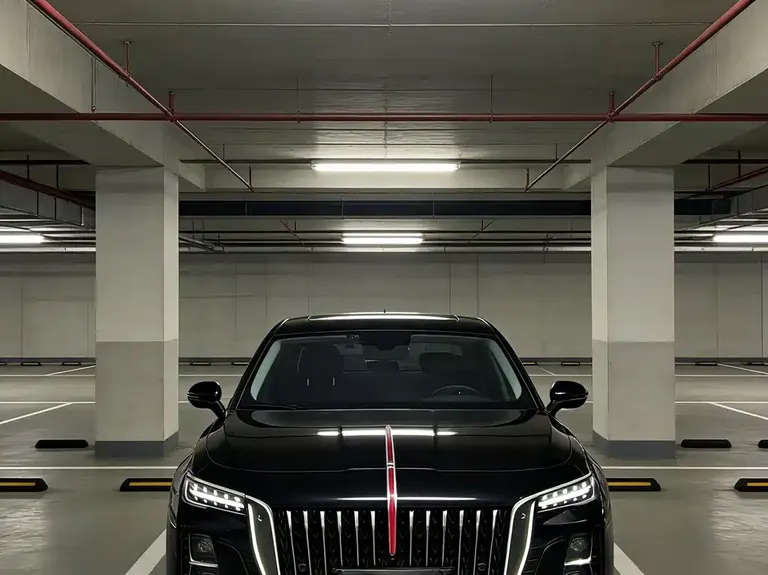 Hongqi H5 1.5 T DCT Connected Flagship Joy