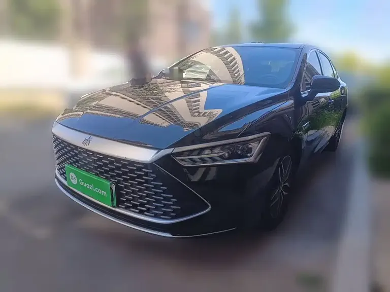 BYD Qin PLUS DM-i 55 KM Flagship