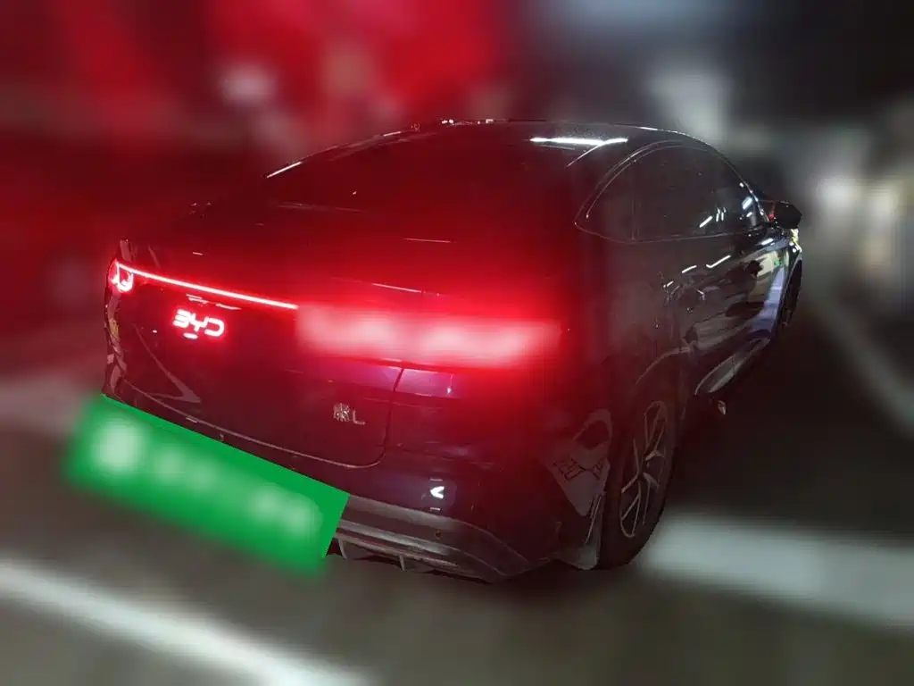 Qin L DM-i 80 KM Transcend