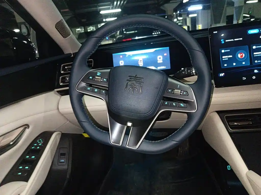 Qin L DM-i 80 KM Transcend