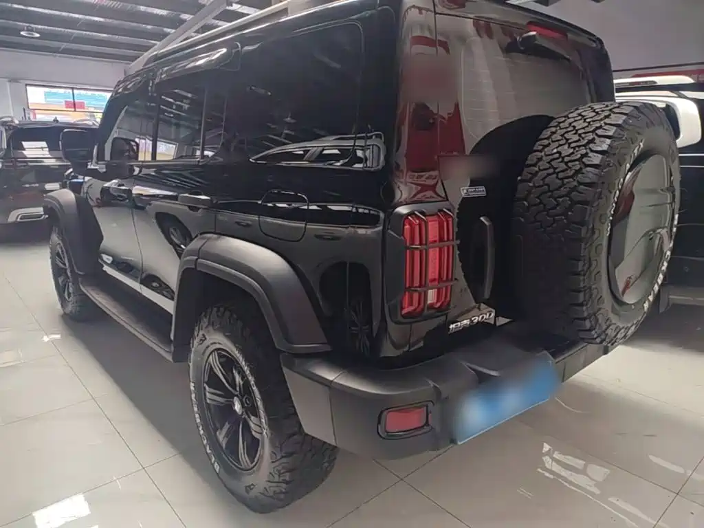 Tank 300 Offroad 2.0 T Conqueror