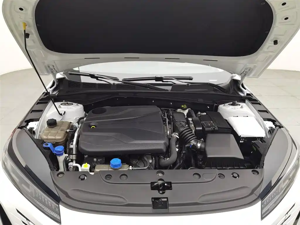 Eado 1.5 T GDI Auto Flagship