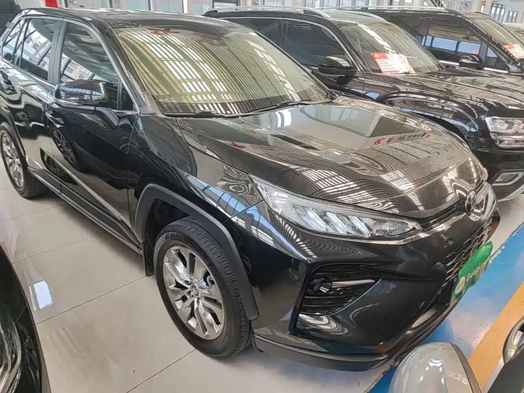 Wildlander 2.0 L CVT 2 WD Leading