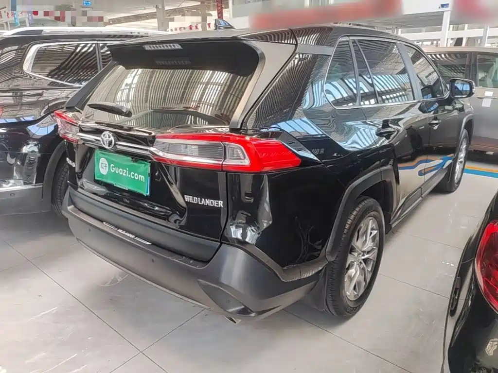 Wildlander 2.0 L CVT 2 WD Leading