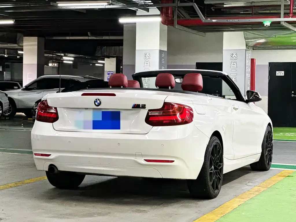 BMW 2 Series (Import) 218 i Convertible Coupe