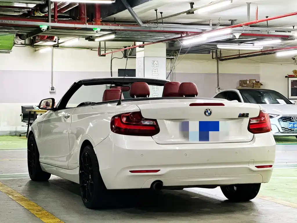 BMW 2 Series (Import) 218 i Convertible Coupe