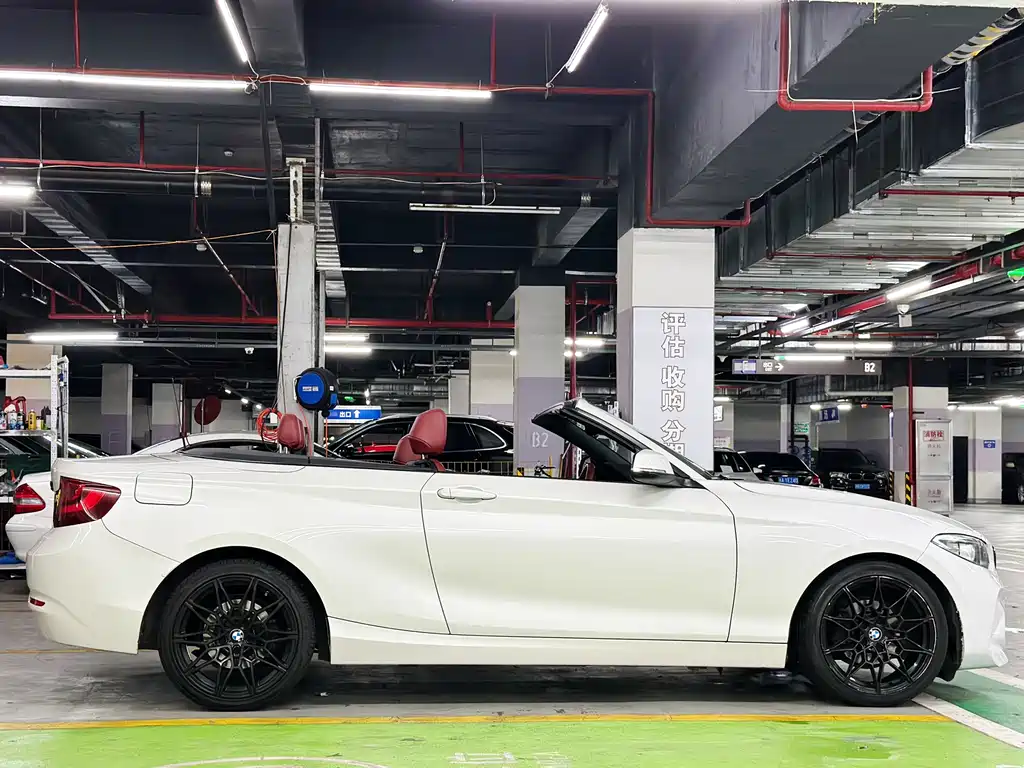 BMW 2 Series (Import) 218 i Convertible Coupe
