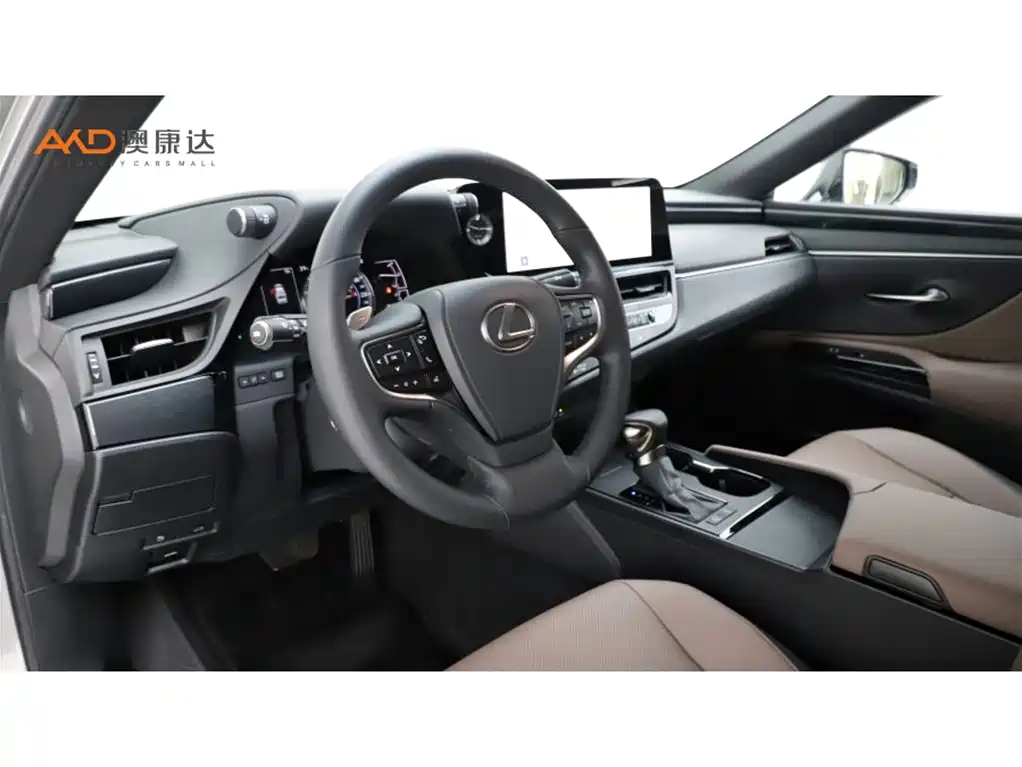 Lexus ES 雷克萨斯ES200/2.0/23款/卓越版