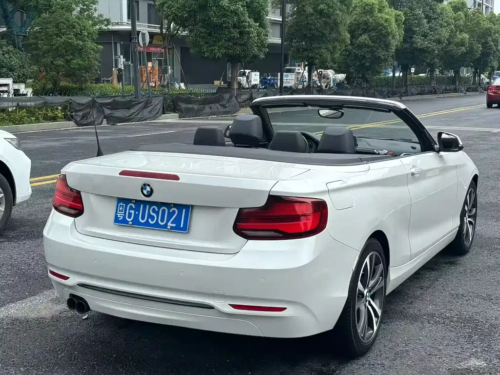 BMW 2 Series (Import) 225 i Convertible Coupe Sport Design Package