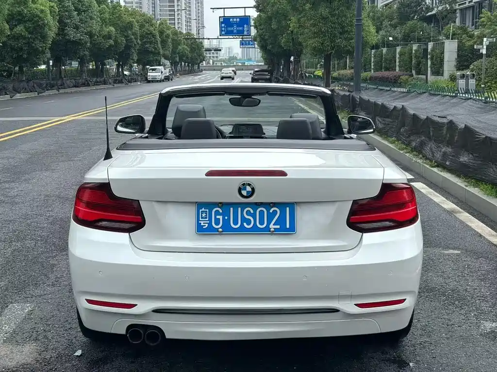 BMW 2 Series (Import) 225 i Convertible Coupe Sport Design Package