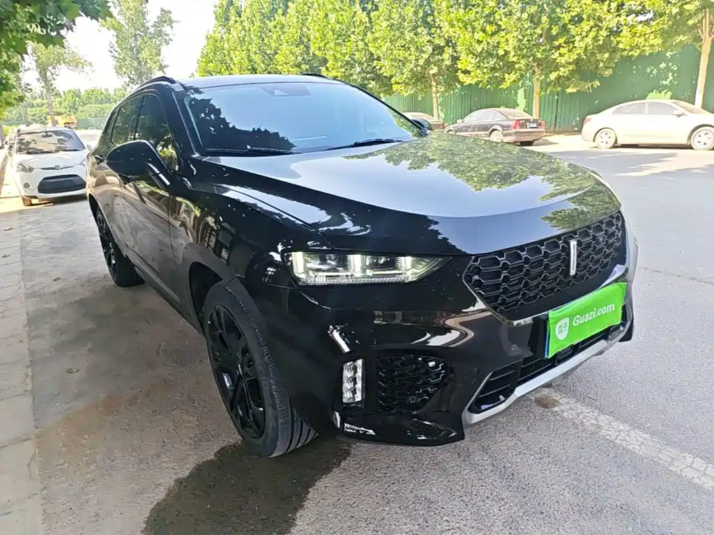 WEY VV7 2.0 T Flagship