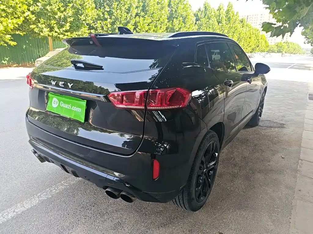 WEY VV7 2.0 T Flagship
