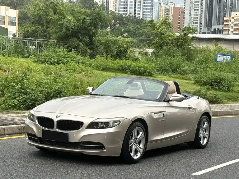 BMW Z4 宝马Z4 2010款 sDrive30 i领先型