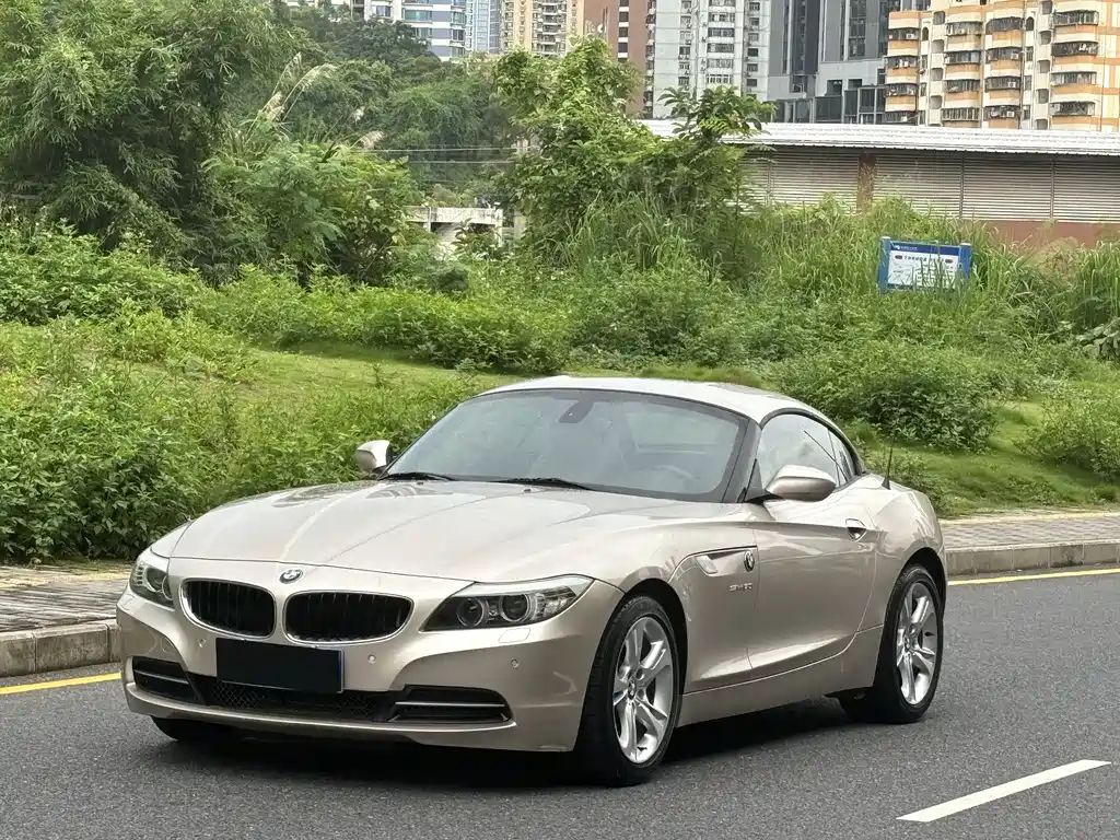 BMW Z4 宝马Z4 2010款 sDrive30 i领先型