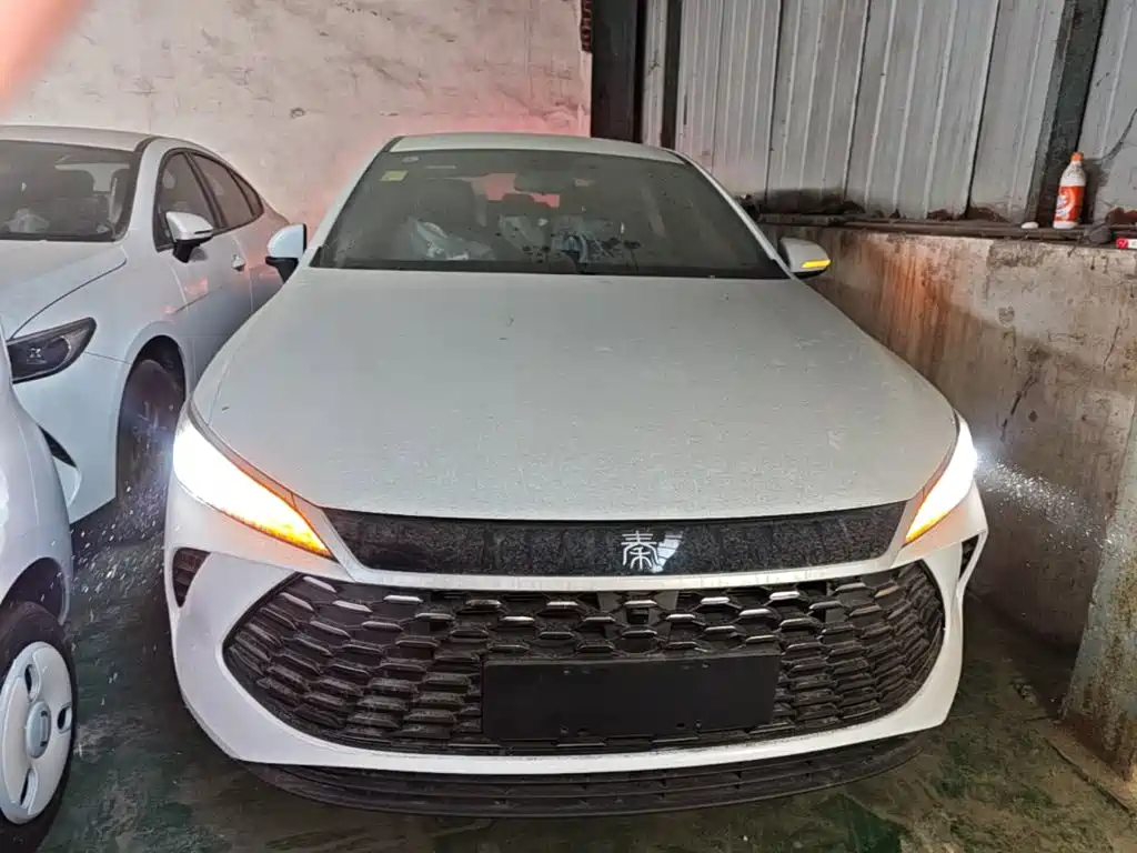 Qin PLUS DM-i Smart Drive 128 KM Progressive