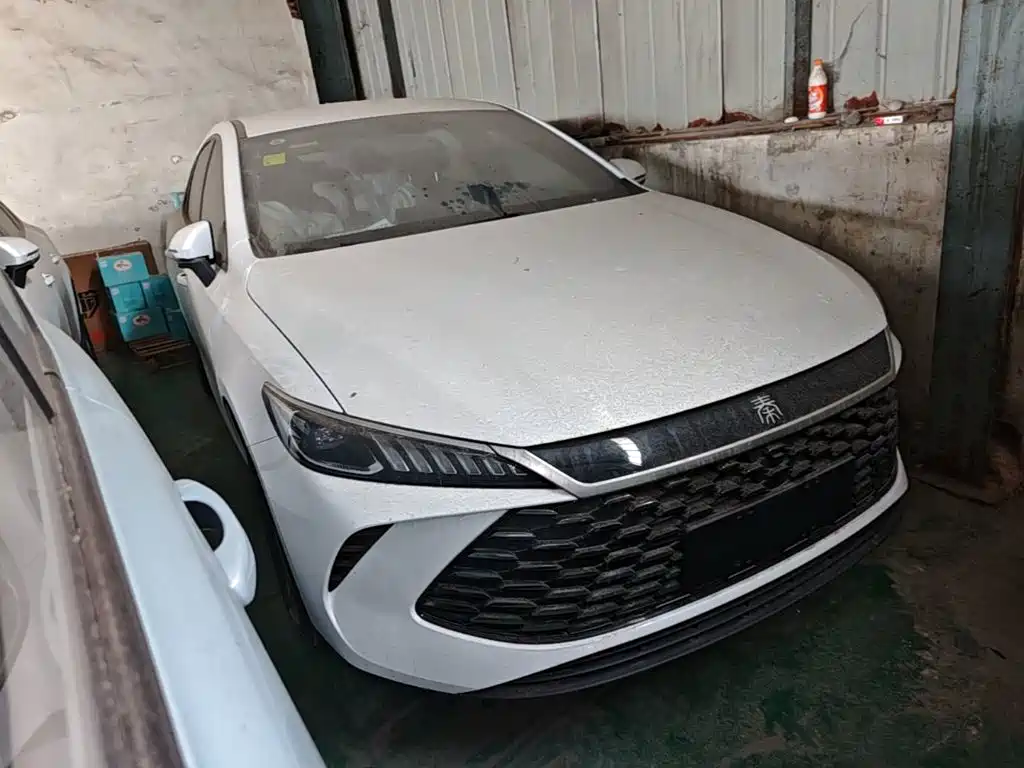 Qin PLUS DM-i Smart Drive 128 KM Progressive