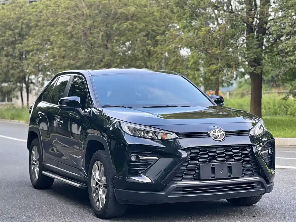 Wildlander 2.0 L CVT 2 WD Leading