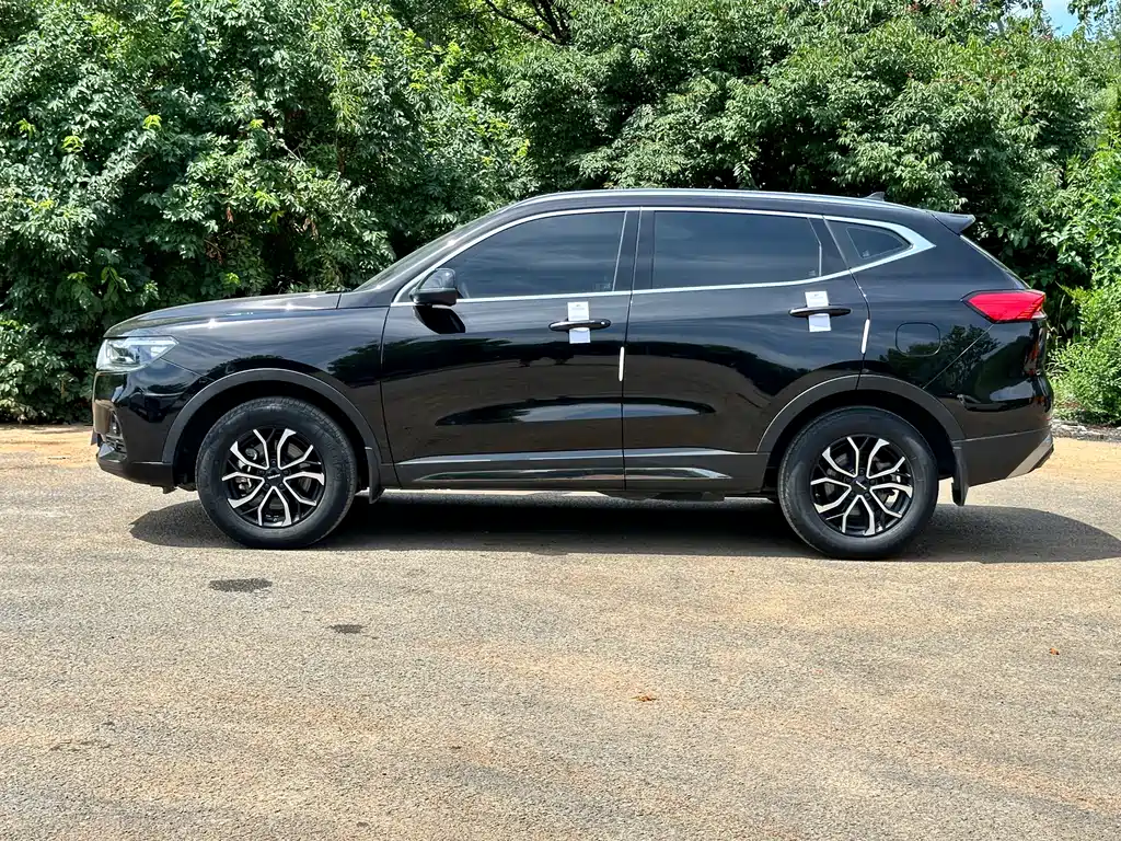 Haval H6 China Style 1.5 T Auto Urban