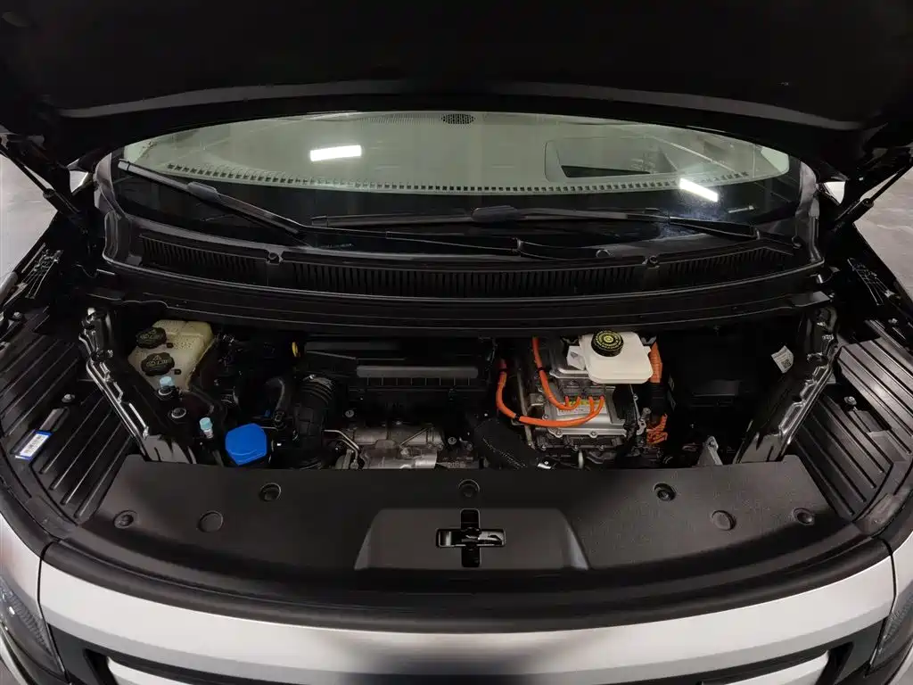 Denza D9 DM-i 970 4 WD Flagship
