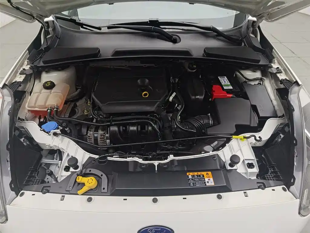 Escort Facelift 1.5 L Auto Joy CN-VI