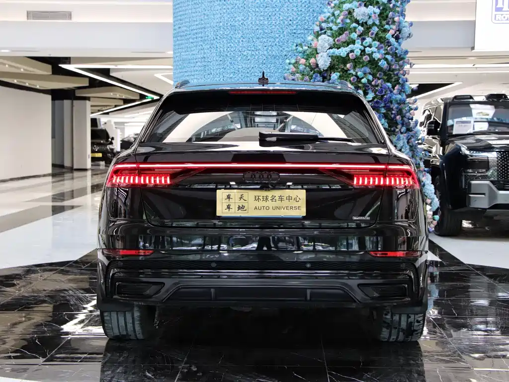 Audi Q8 奥迪Q8 2022款 55 TFSI 暗夜骑士殿堂版