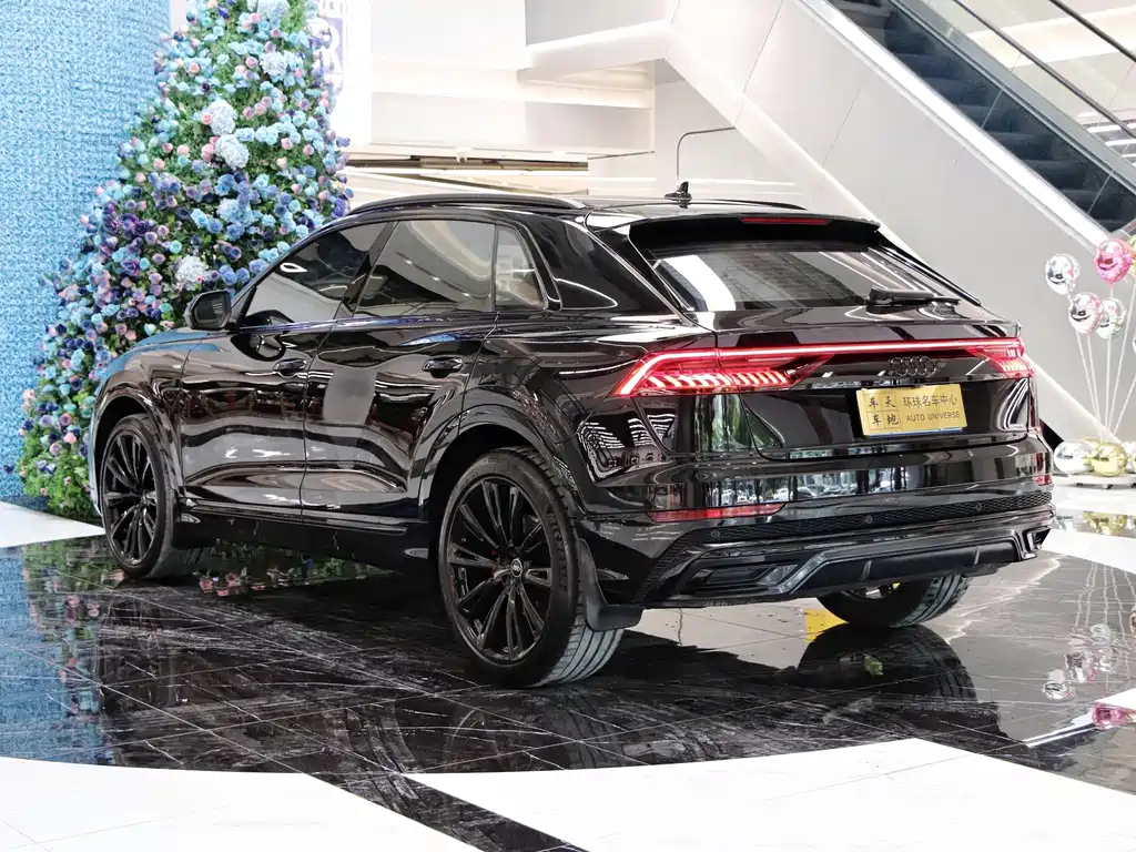 Audi Q8 奥迪Q8 2022款 55 TFSI 暗夜骑士殿堂版