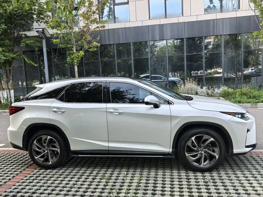Lexus RX 300 4 WD Elegant CN-VI