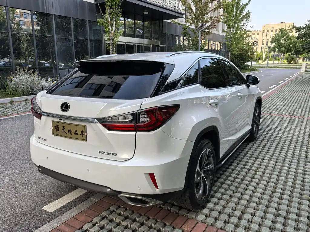 Lexus RX 300 4 WD Elegant CN-VI