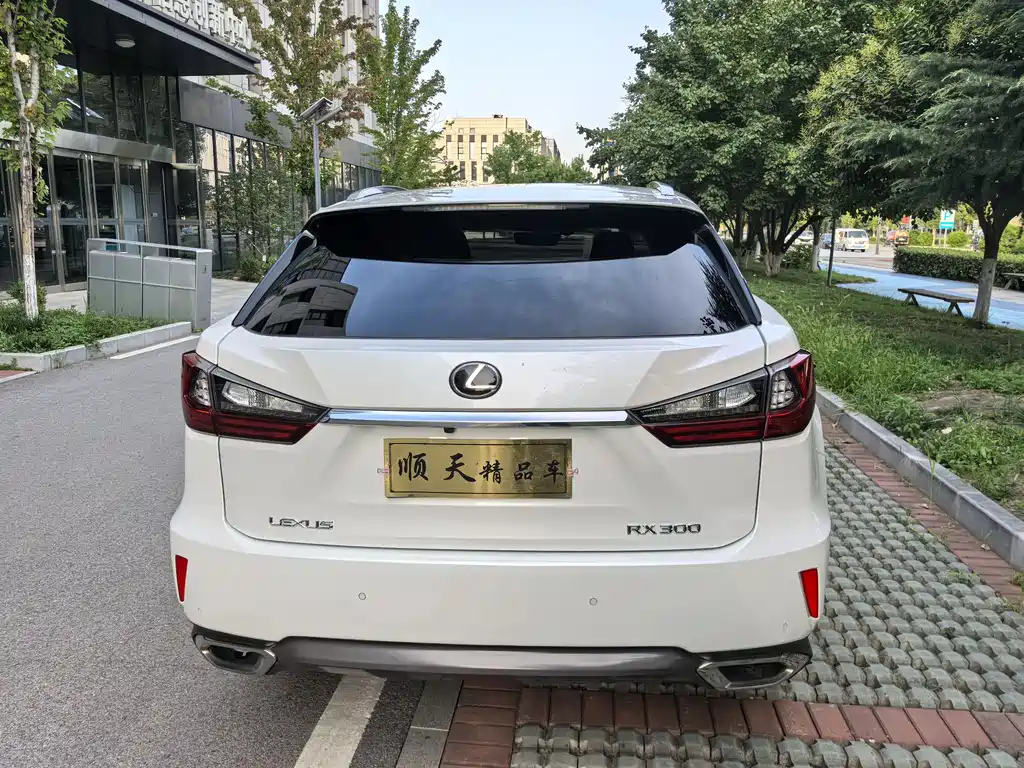 Lexus RX 300 4 WD Elegant CN-VI