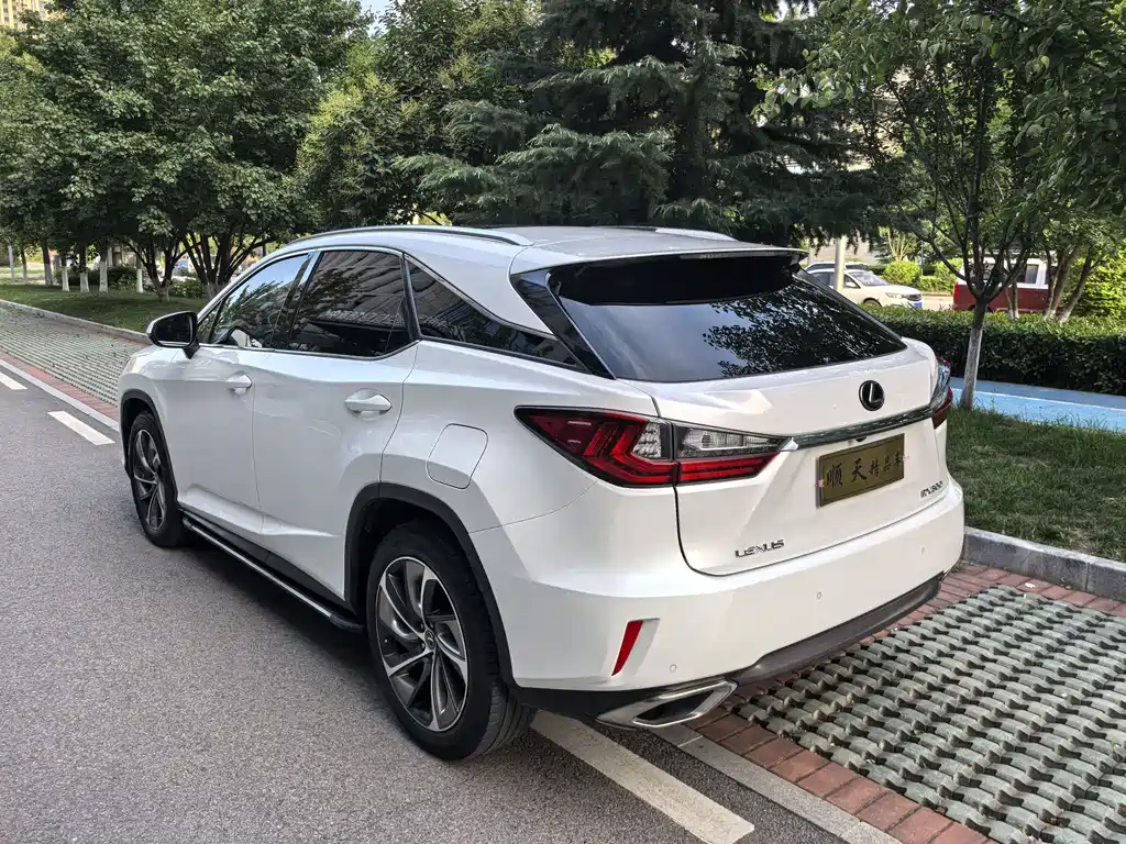 Lexus RX 300 4 WD Elegant CN-VI